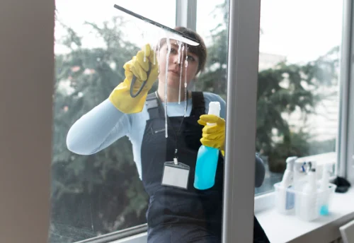Nettoyage de vitres intérieures et extérieures à Langan
